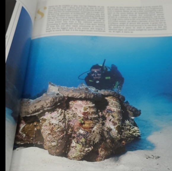 2010 LIFE BOOKS - WONDERS OF LIFE - THE AMAZING WORLD OF NATURE - Picture 13 of 16